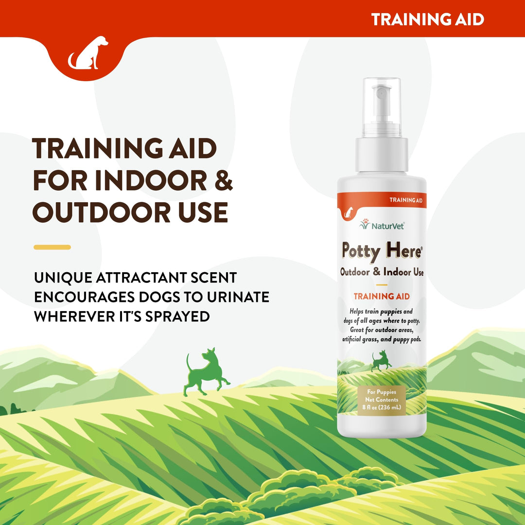 – Potty Here Training Aid Spray | Attractive Scent Helps Train Puppies & Dogs Where to Potty | Formulated for Indoor & Outdoor Use | 8 oz