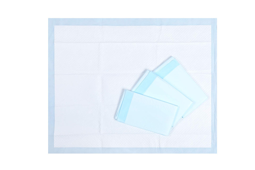 All-Absorb, XXL 30x36, 30 Count, Dog and Puppy Training Pads, Ultra Absorbent and Odor Eliminating, Leak-Proof 5-Layer Potty Training Pads with Quick-Dry Surface, Blue, A39