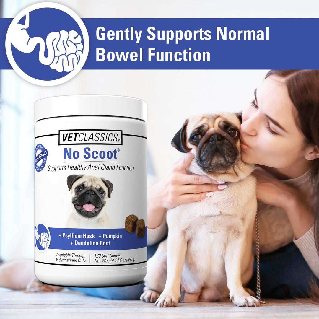 No Scoot Dog Supplements for Healthy Anal Gland Function – Support Normal Bowel Functions, Anal Glands – Increases Daily Fiber Intake for Dogs – 120 Soft Chews