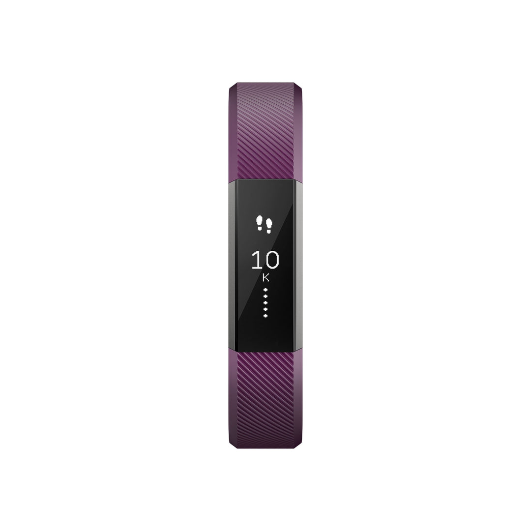 Alta Classic Accessory Band, Plum Small
