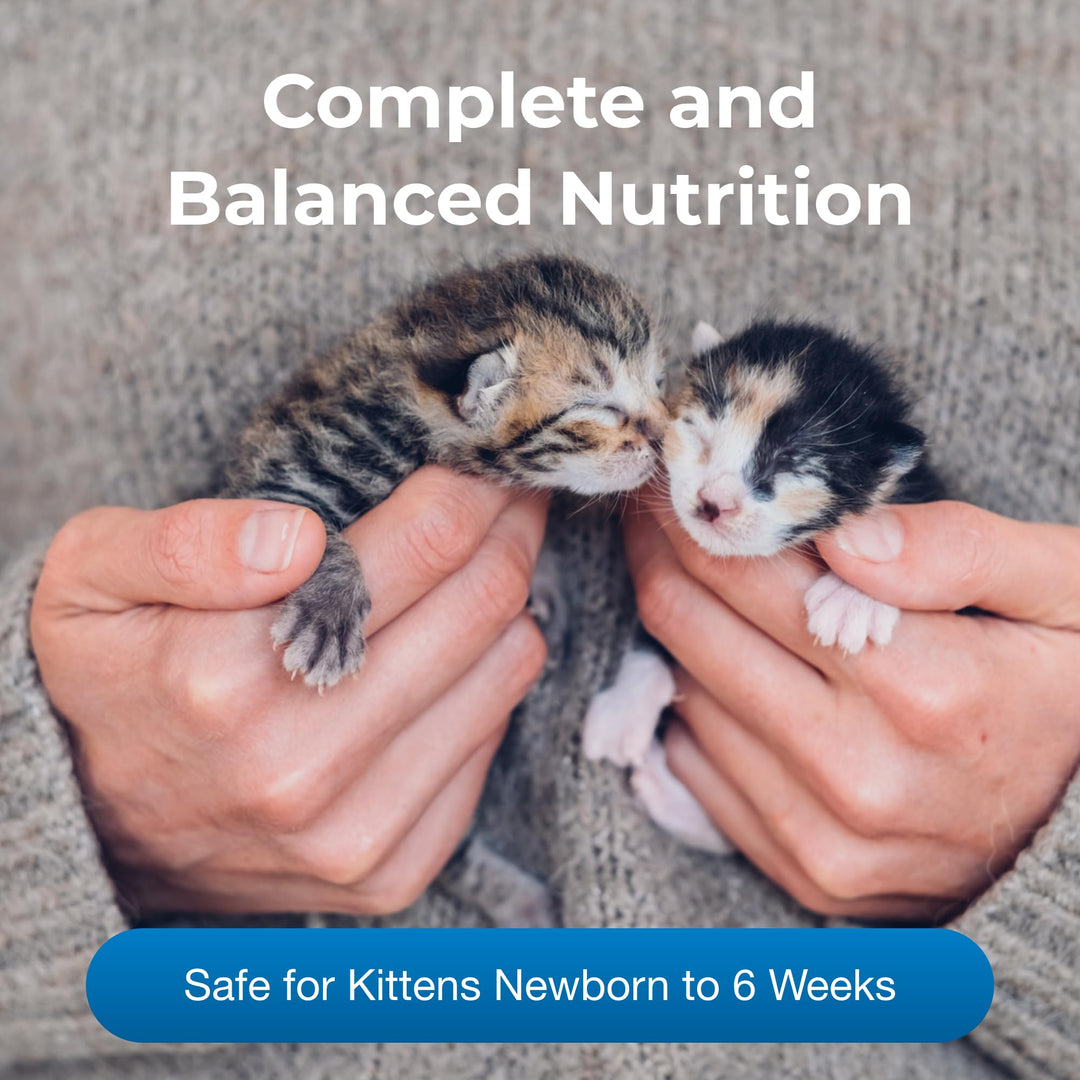 Pet-Ag PetLac Powder for Kittens - 10.5 oz - Kitten Milk Replacement Powder for Kittens Newborn to Six Weeks Old - Easy to Digest