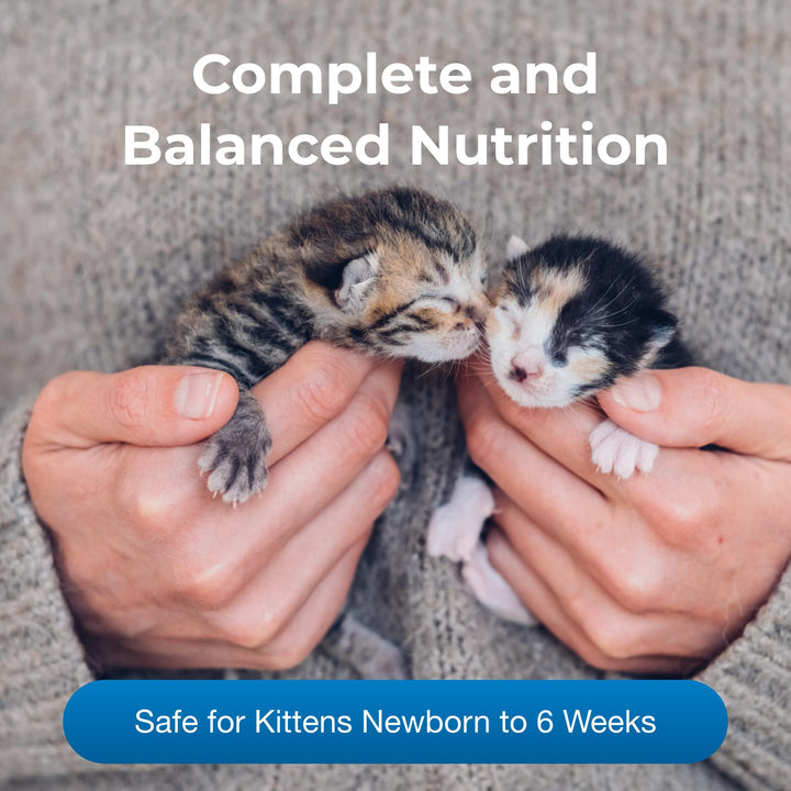Pet-Ag PetLac Powder for Kittens - 10.5 oz - Kitten Milk Replacement Powder for Kittens Newborn to Six Weeks Old - Easy to Digest