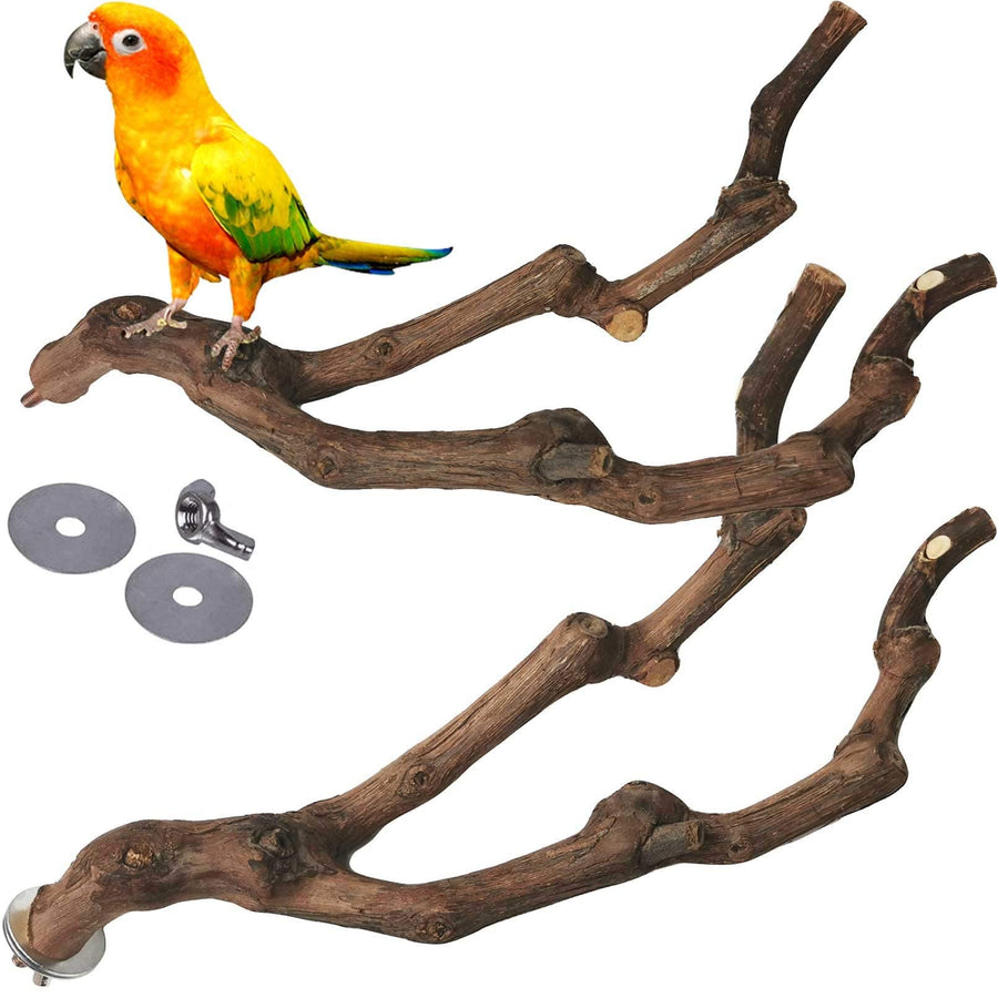 Natural Parrot Perch Bird Stand Pole Wild Grape Stick Paw Grinding Fork Parakeet Climbing Standing Branches Toy Chewable Cage Accessories for Small Budgies Cockatiels Lovebirds 2PCS
