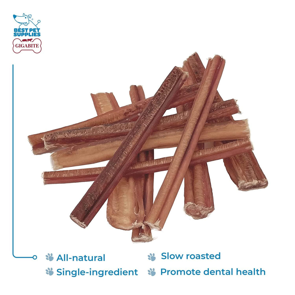 GigaBite 6 Inch Natural Odor Bully Sticks Treats (10 Pack) All Natural, Free Range Beef Pizzle Dog Chews – by