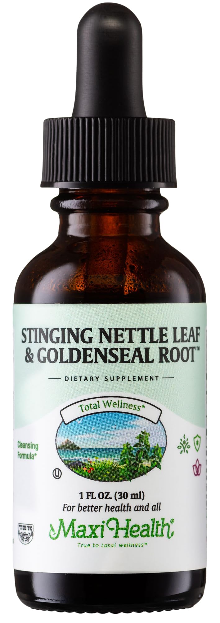 Stinging Nettle Leaf and Goldenseal Root Blend - Alcohol Free Stinging Nettle Tincture with Organic Nettle Leaf (Urtica Dioica) - Urinary Health, Kidney Support - Nettle Extract Liquid Drops, 1 fl oz