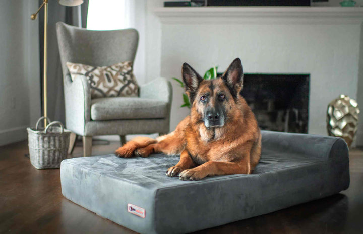 Elevated Orthopedic Dog Bed w/Headrest - 7” for Large Dogs w/Washable Microsuede Cover - Made in The USA w/ 10-Year Warranty (Headrest, Large, Charcoal)