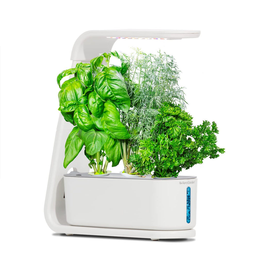 Gourmet Herb Seed pod Kit - Herb Seeds for Indoor Garden, 3-Pod