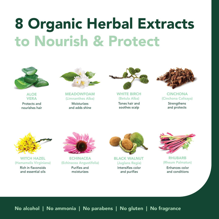 Permanent Haircolor Gel, 1N Black, Alcohol Free, Vegan, 100% Grey Coverage - 4.56 oz (2 Pack)