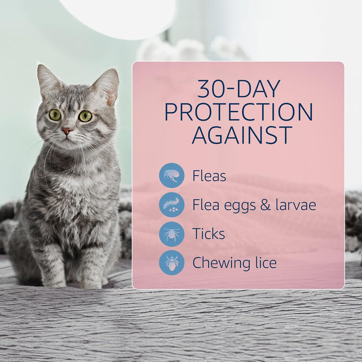for Cats Flea and Tick Treatment & Prevention (Over 1.5 lbs) 6-Month Supply