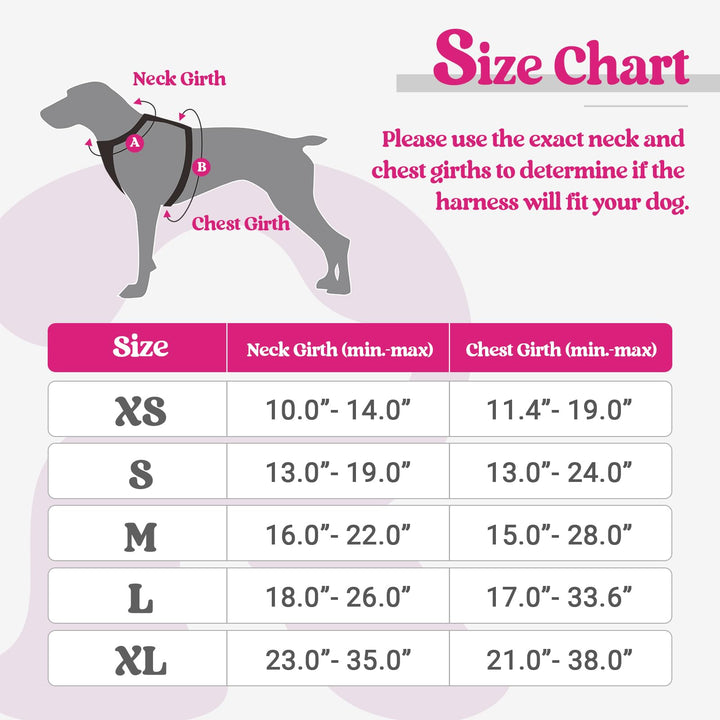 Dog Harness No Pull with 2 Leash Clips, Adjustable Soft Padded, Reflective Oxford No Choke Pet Vest with Easy Control Handle for Large Dogs, Hot Pink, L
