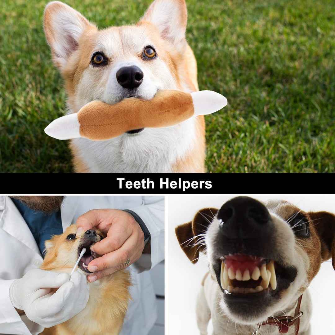 Dog Squeaky Toys, Plush Small Dog Toys for Dogs, Stuffed Dog Toys with Squeakers,12 pcs Puppy Toys with a Carrying Bag for Small Medium Size Dogs