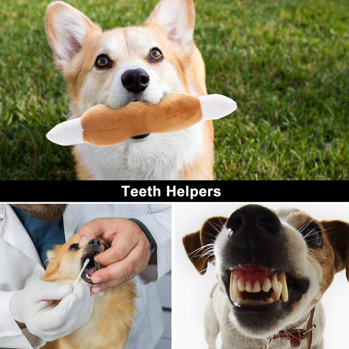 Dog Squeaky Toys, Plush Small Dog Toys for Dogs, Stuffed Dog Toys with Squeakers,12 pcs Puppy Toys with a Carrying Bag for Small Medium Size Dogs
