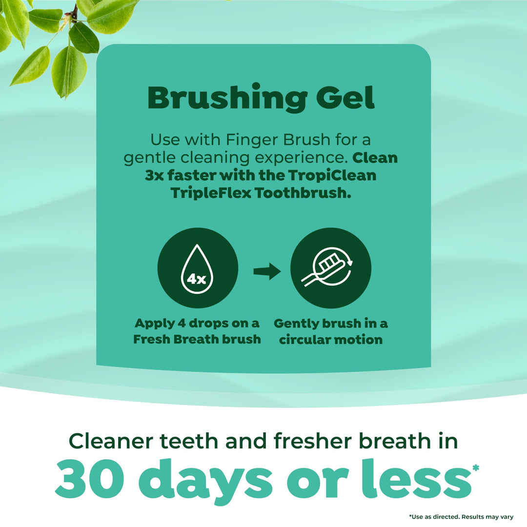 Fresh Breath Toothbrush and Toothpaste Kit for Dogs, Teeth Cleaning Kit for Plaque & Tartar Removal, Breath Freshener, Dog Dental Care