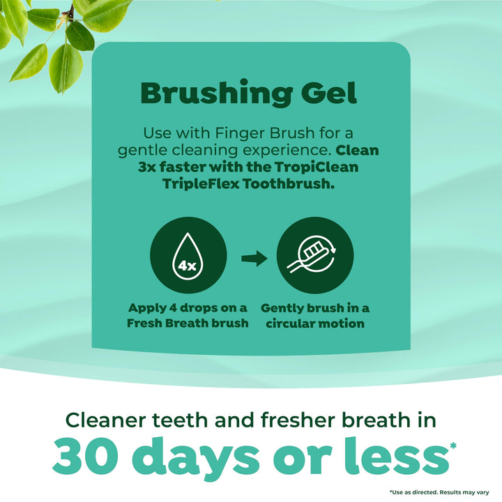 Fresh Breath Toothbrush and Toothpaste Kit for Dogs, Teeth Cleaning Kit for Plaque & Tartar Removal, Breath Freshener, Dog Dental Care