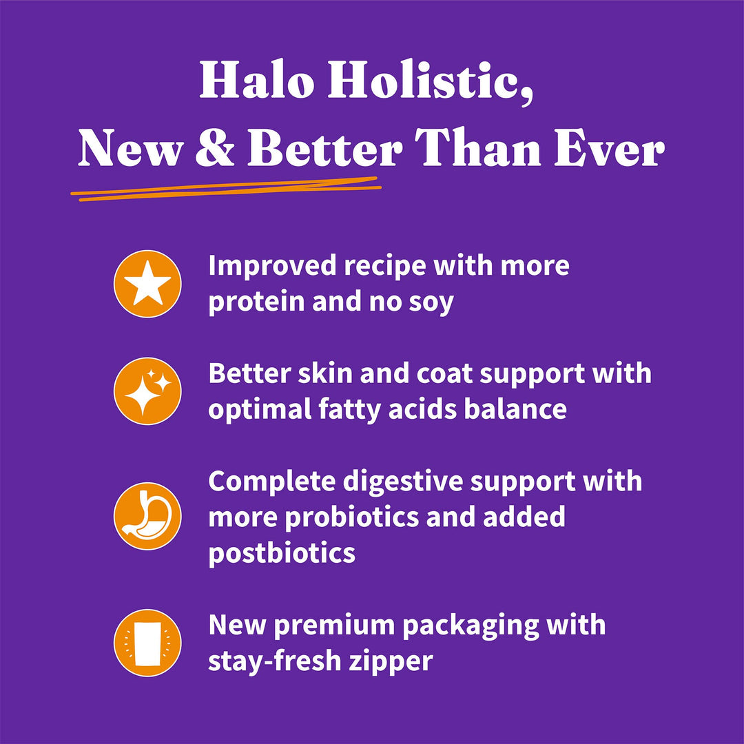 Holistic Cage Free Chicken Cat Food, Grain Free Dry Cat Food, For Healthy Weight Support, Kibble for Indoor Cats, 6 lb Bag