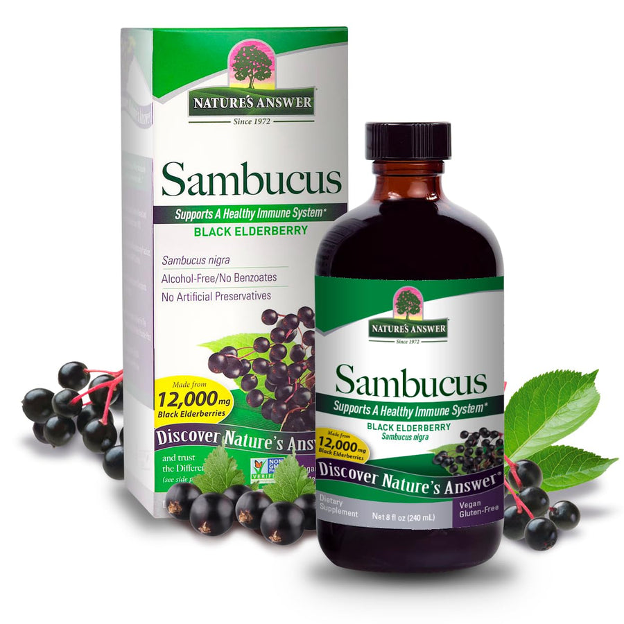 Alcohol-Free Sambucus Dietary Supplement 8oz Liquid | Immune Support | Antioxidant Boost | Gluten-Free, Vegan, Non-GMO | Single Count