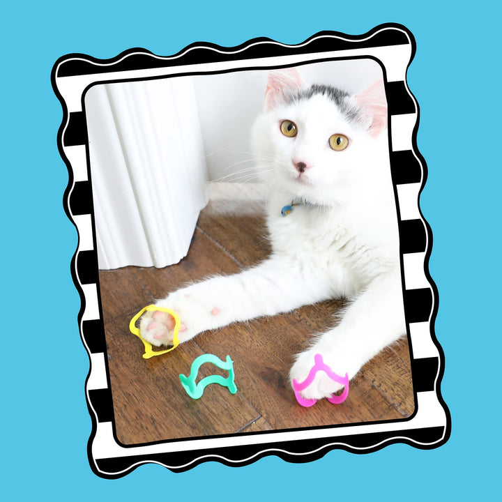 Interactive Cat Toys - Cat Crazies Multi Pack , 4 Count (Pack of 1)