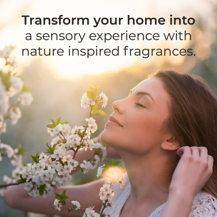 Botanica Plug in Scented Oil Refill, 2 Refills, French Lavender and Honey Blossom, Air Freshener, Essential Oils