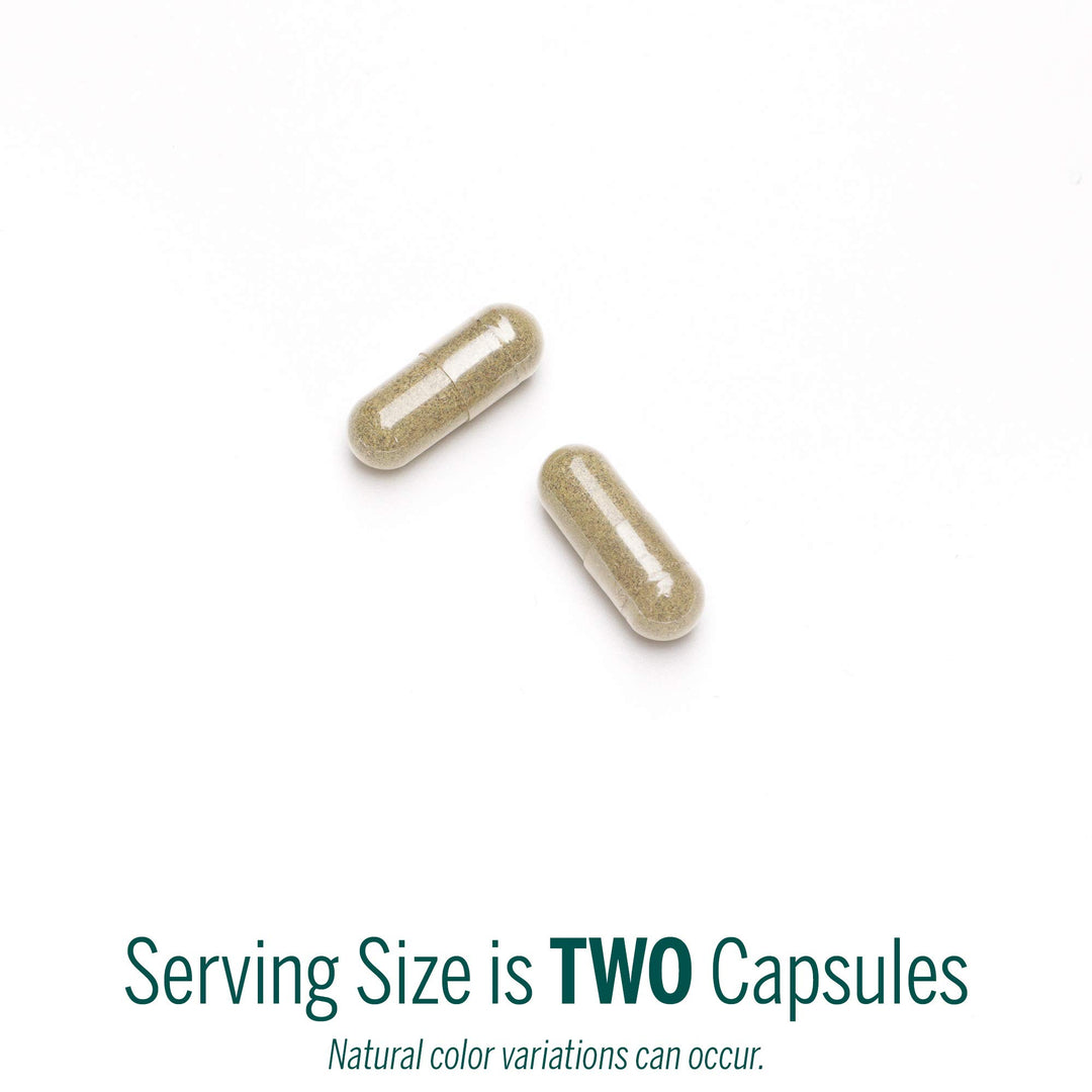 Black Walnut Capsules | Herbal Formula to Support Digestive Health | 90 Capsules