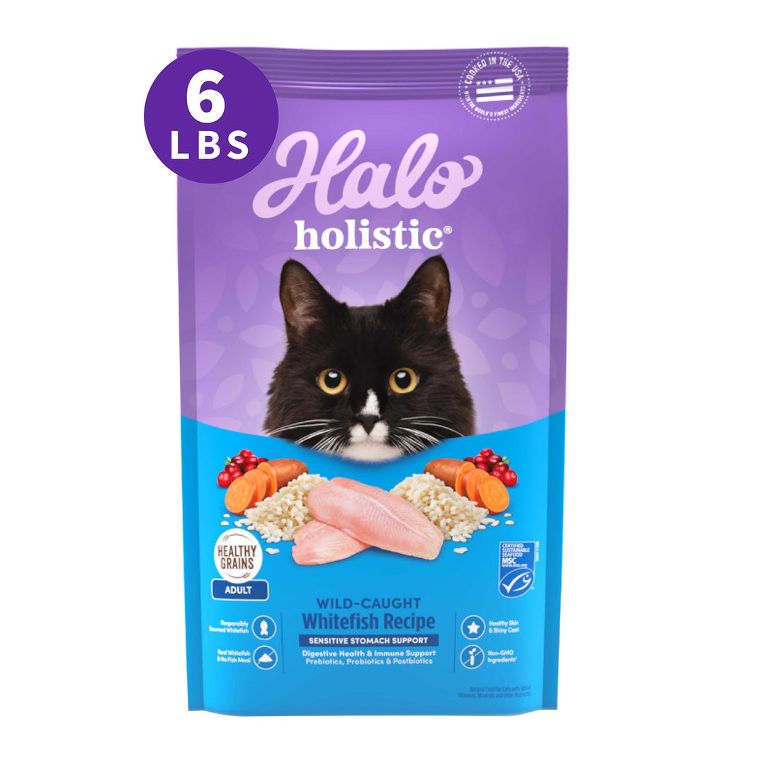 Halo Holistic Cat Food Wild Caught Salmon & Whitefish Formula, Healthy Grains Dry Cat Food, For Sensitive Stomach Support, Kibble for Adult Cats, 6 lb Bag