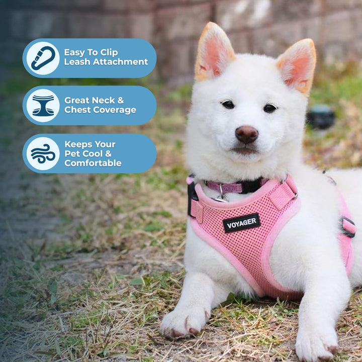 Voyager Step-in Lock Pet Harness - All Weather Mesh, Adjustable Step in Harness for Cats and Dogs - Pink, S