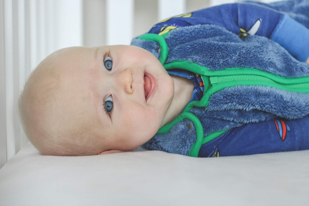 Sleep Nest Teddy Baby Sleeping Bag, Fuzzy Dino, Medium (6-18 Months)