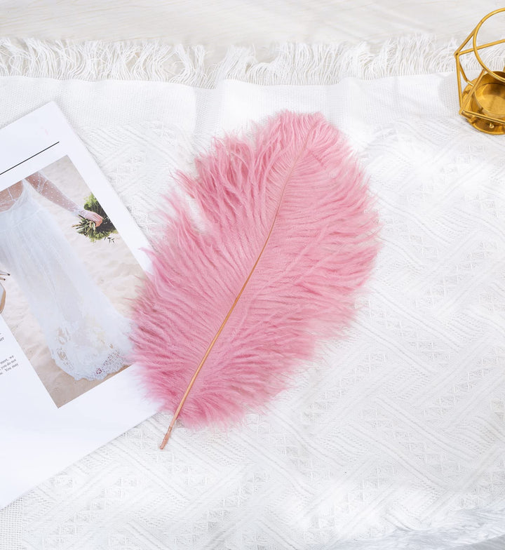 12pcs Natural Ostrich Feathers 12-14inch (30-35cm) for Wedding Party Centerpieces,Flower Arrangement and Home Decoration.(Shrimp Powder)