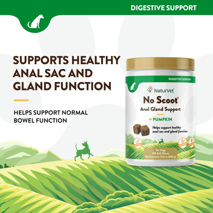 - No Scoot for Dogs - 120 Soft Chews - Plus Pumpkin - Supports Healthy Anal Gland & Bowel Function - Enhanced with Beet Pulp & Psyllium Husk