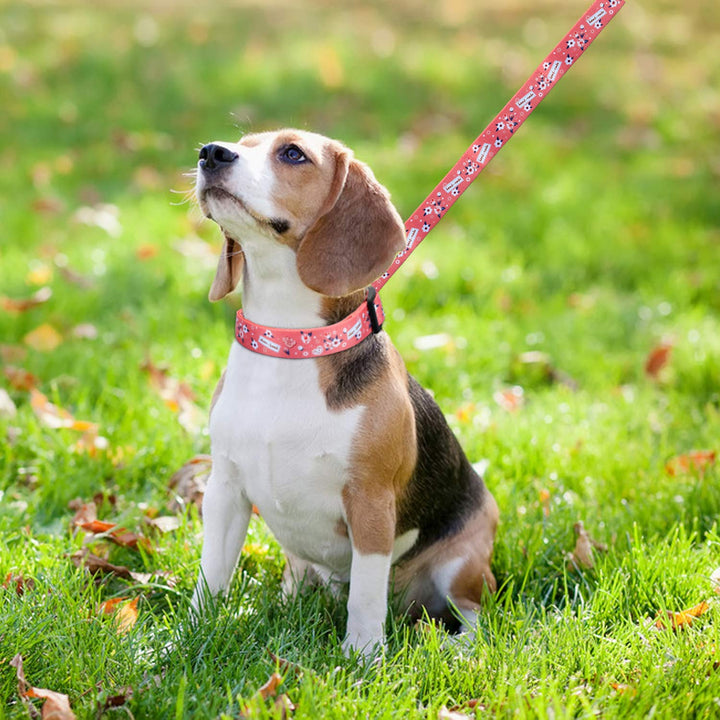 Quick Release Dog Collar with Leash, Adjustable Cute Dog Collars, Soft Comfortable Breathable Nylon Dog Collars for Small Medium Large Dogs(Medium, 11.8-15.7)