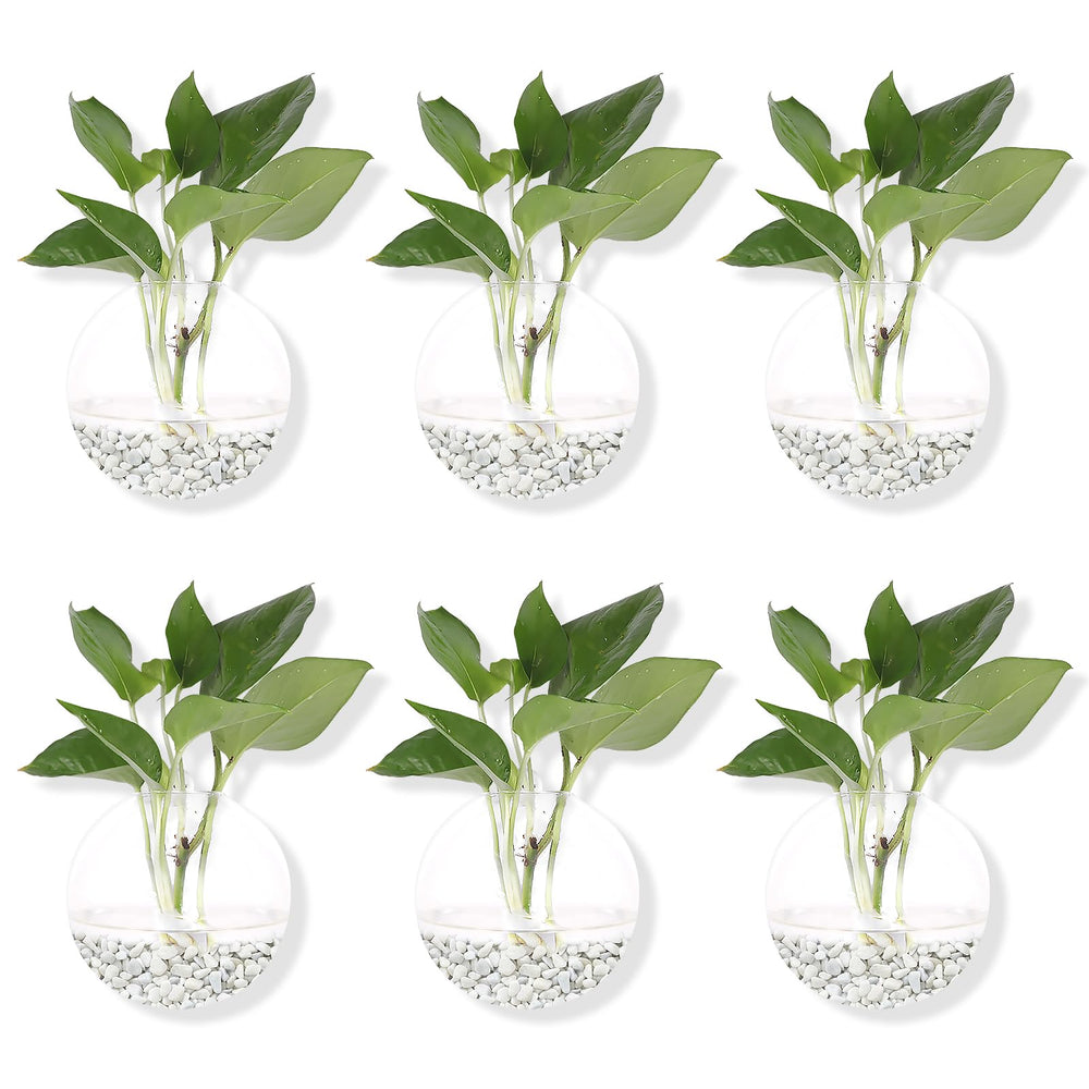 Pack of 6 Glass Planters Wall Hanging Planters Round Glass Plant Pots Hanging Air Plant Pots Flower Vase Air Plant Terrariums Wall Hanging Plant Container, 12 cm Diameter