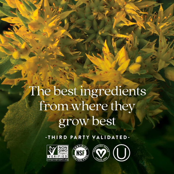 Rhodiola Force 300mg with Potent Vegan Rhodiola for Mental Focus & Stamina, Endurance + Mood Support + Stress Adaptogen + Non-GMO Ingredients - 30 Count