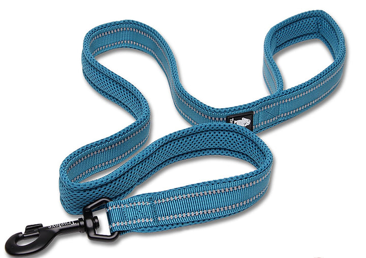 Reflective Dog Leash Puppy Walking Lead, Padded Pet Chain Rope,Length 200cm Truelove TLL2111(Blue,M)