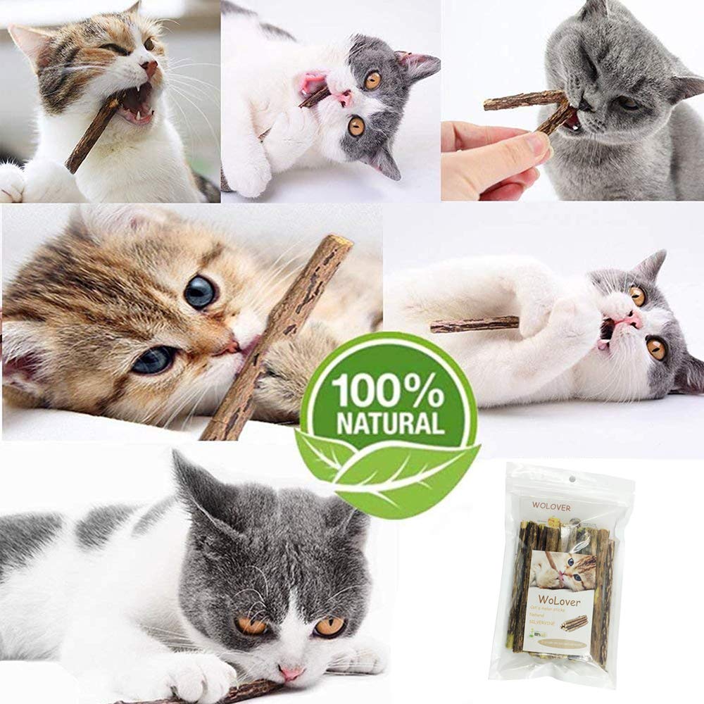 Silvervine Sticks for Cats, Natural Catnip Matatabi Chew Sticks Teeth Molar Chew Toys for Cat Kitten Kitty (at Least 12 PCS)