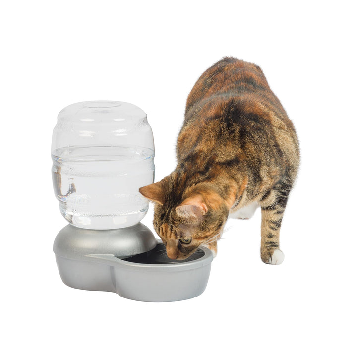 Replendish Automatic Gravity Waterer for Cats and Dogs, BPA-Free, No Batteries Required, Includes Charcoal Filter, 0.5 Gallon,Silver