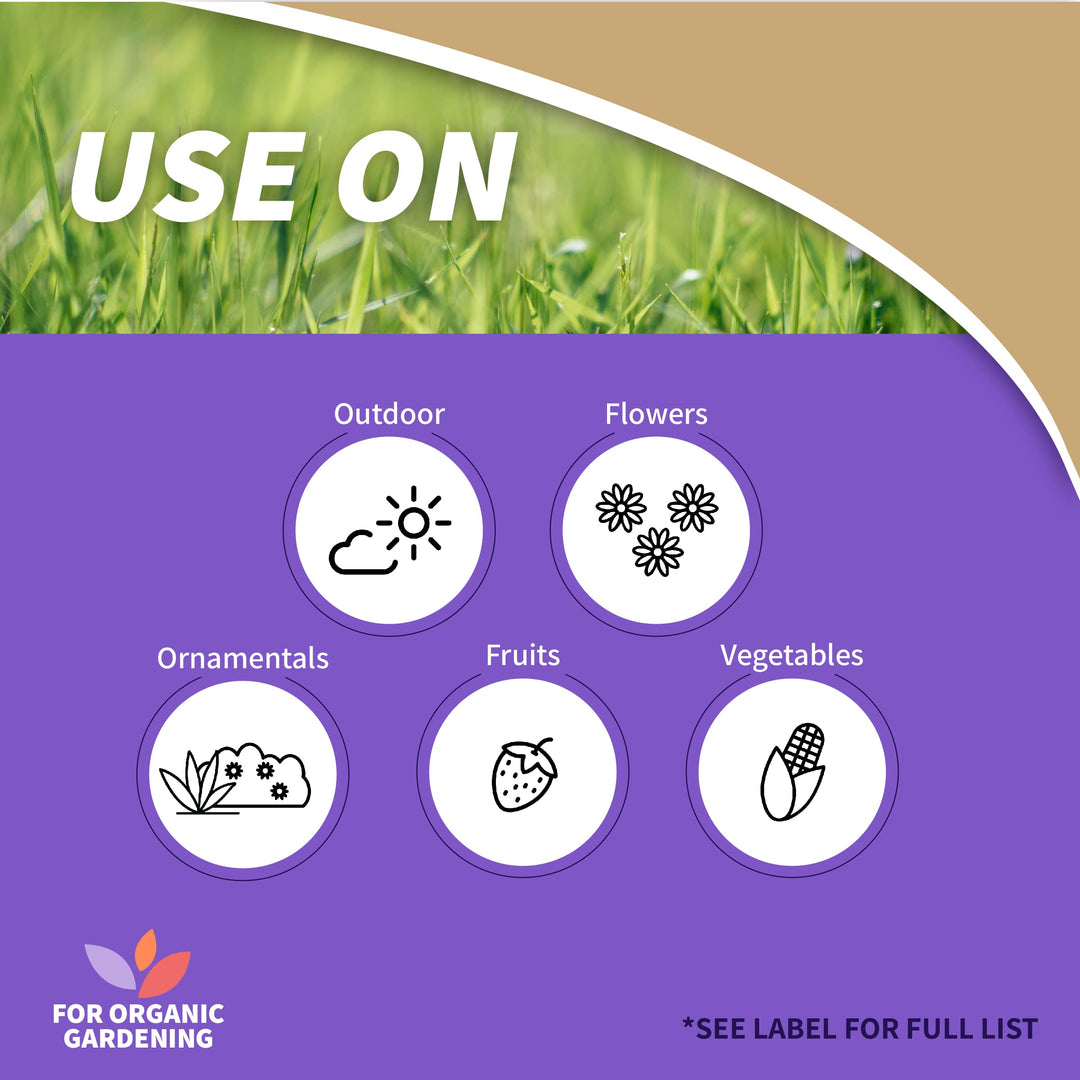 Captain Jack's Copper Fungicide, 32 oz Ready-to-Use Spray for Organic Gardening, Controls Common Diseases