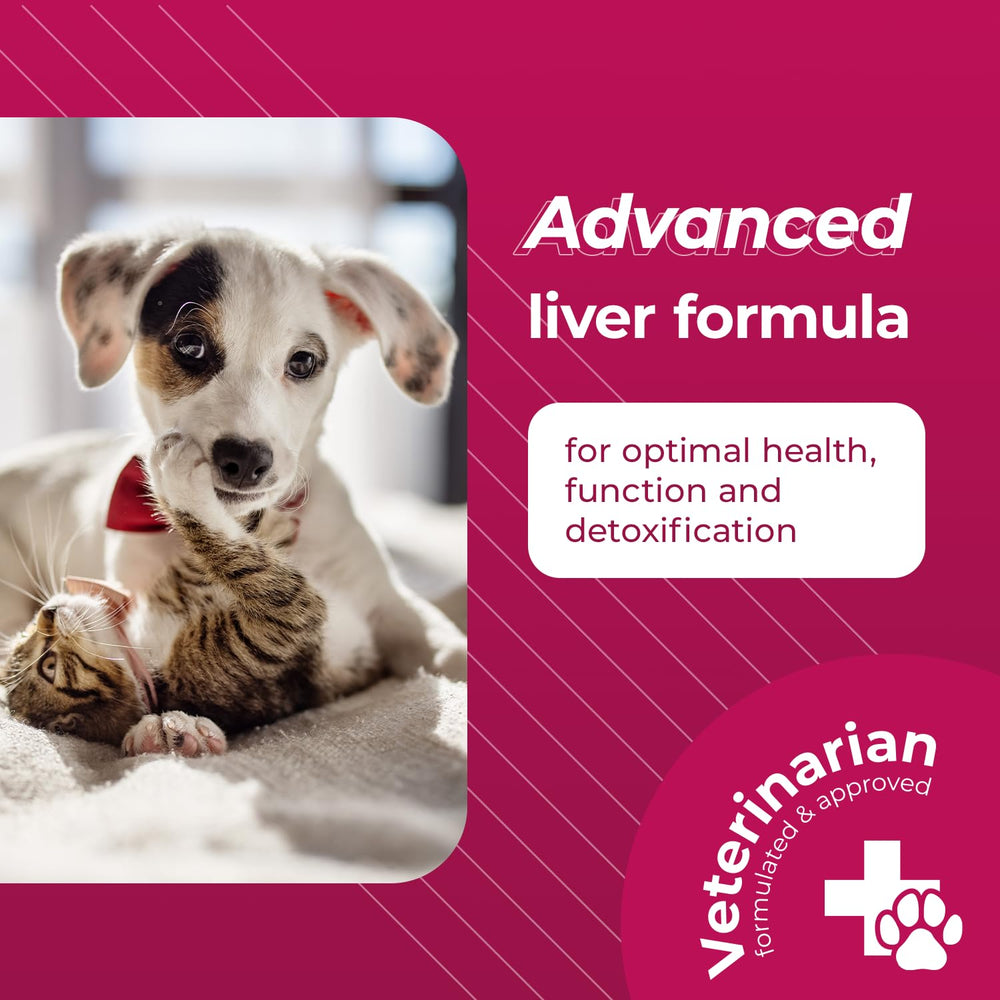 VetriScience Same Liver Health Tablets, 90 mg S-Adenosyl-Methionine Liver Health and Detox Supplement for Medium and Large Breed Dogs, Glutathione Antioxidant Liver Support, 30 Count