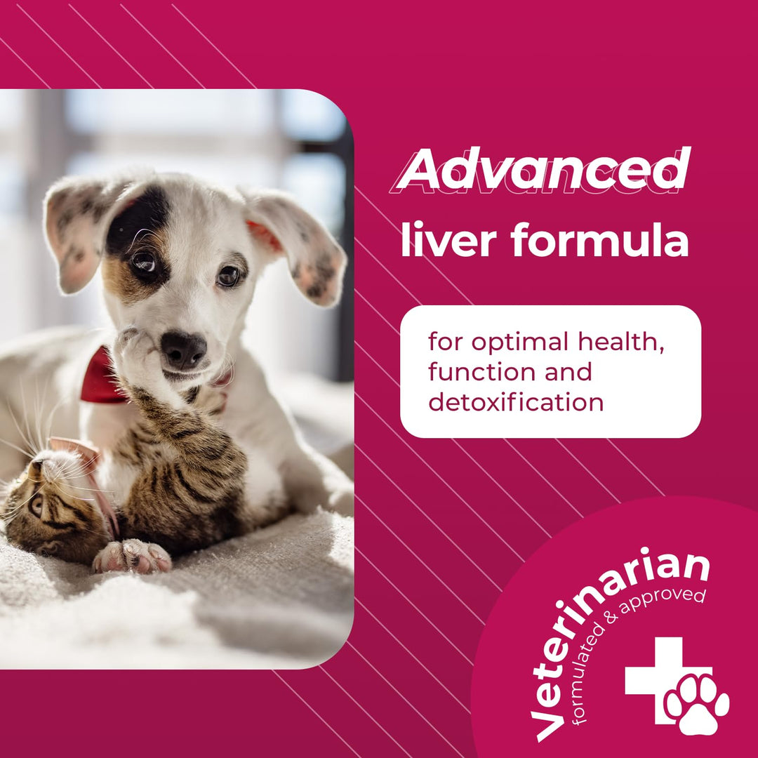 VetriScience Same Liver Health Tablets, 90 mg S-Adenosyl-Methionine Liver Health and Detox Supplement for Medium and Large Breed Dogs, Glutathione Antioxidant Liver Support, 30 Count
