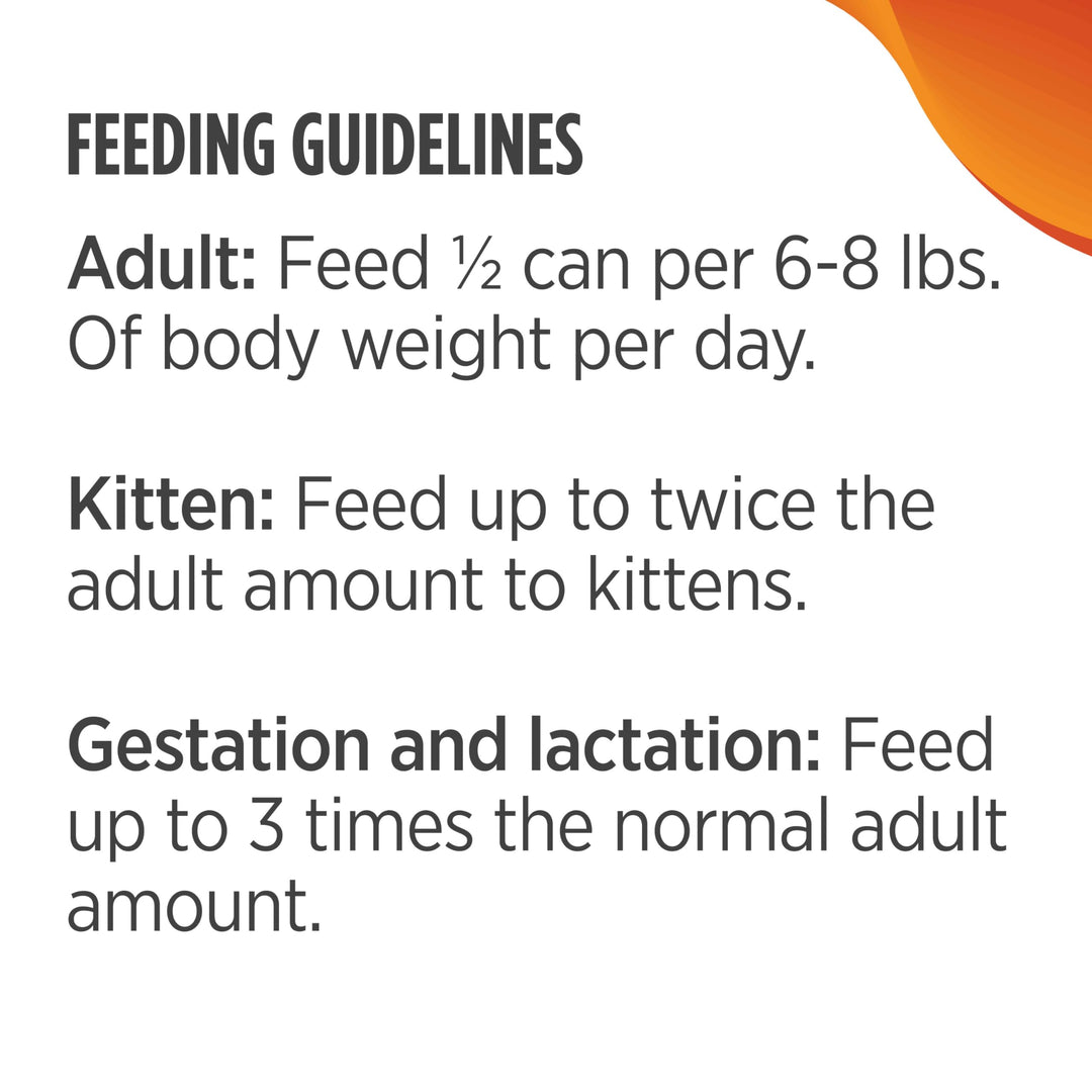 Freestyle Turkey & Chicken Pate Wet Canned Cat Food, 12.5 Ounce (Pack of 12)