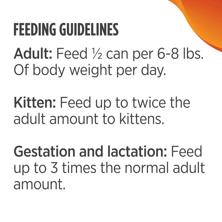 Freestyle Turkey & Chicken Pate Wet Canned Cat Food, 12.5 Ounce (Pack of 12)
