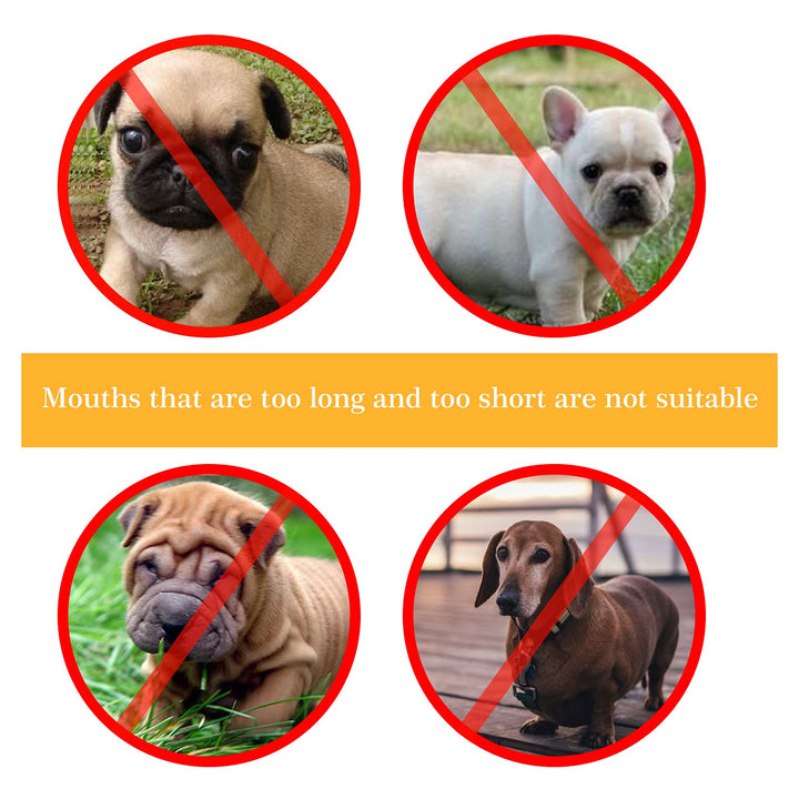 Dog Muzzle for Small Dog Soft Muzzle to Prevent Biting Barking and Chewing, Reflective MeshBreathable Dog Mussel