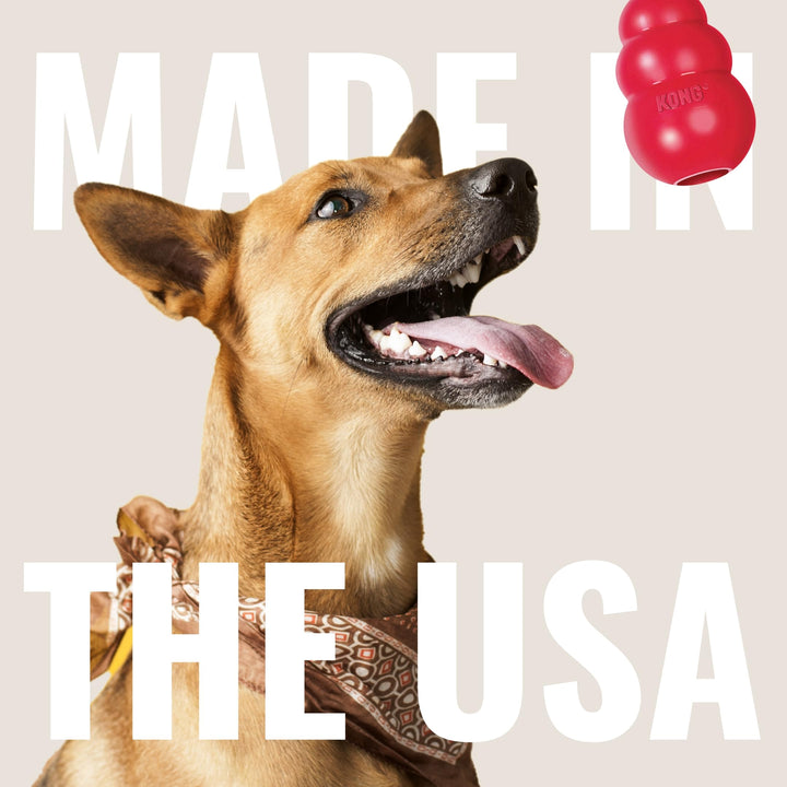 Flyer - Durable Dog Toy for Outdoor Playtime - Natural Rubber Flying Disc, Dog Toy for Fetch - Safer Disc for Healthy Activity - for Small Dogs