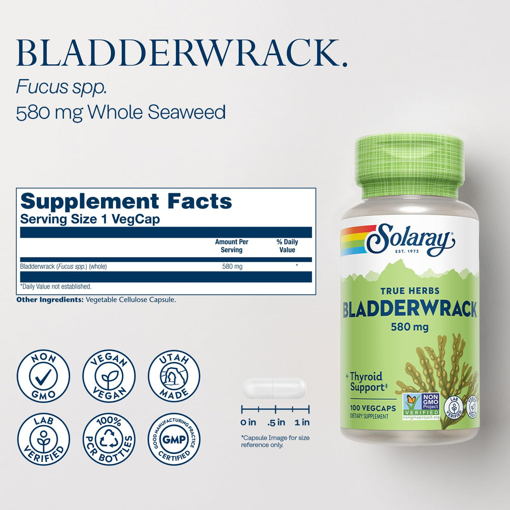 Bladderwrack Capsules 580 mg - Nutrient-Packed Seaweed Supplement, High in Iodine - Balanced Herbal Support - Vegan, Non-GMO, 60-Day Guarantee, Lab Verified - 100 Servings, 100 VegCaps