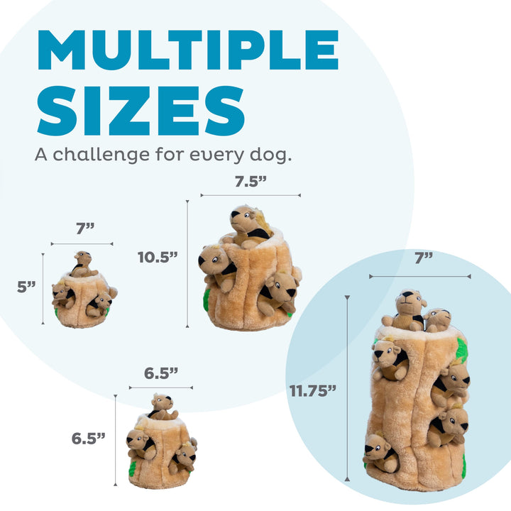 Hide A Squirrel Plush Dog Toy Puzzle, XL