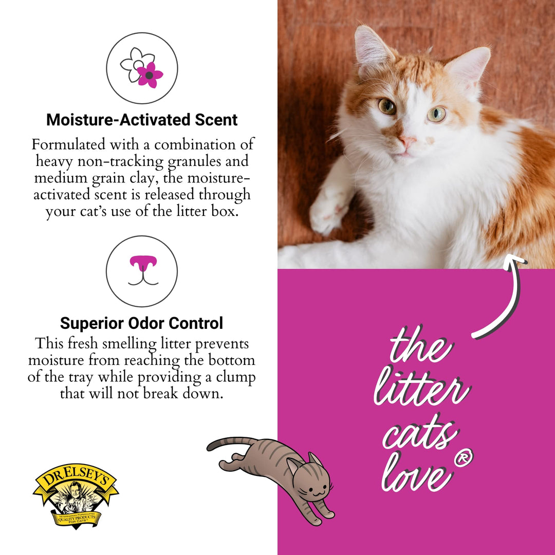 Precious Cat Dr. Elsey's Ultra Scented Scoopable Multi-Cat Cat Litter, 40 lbs.