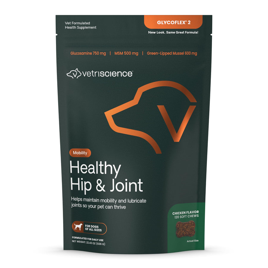 VetriScience GlycoFlex Healthy Hip & Joint Glucosamine Supplements for Dogs, with MSM & Green-Lipped Mussel, Soft Chews, Chicken, 120 Count - New Look