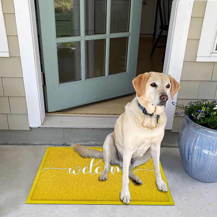 Yellow Outdoor Mat Front Door Indoor Welcome Doormat,Anti Slip Rubber Door Mat,Quickly Trap Dirt Easy to Clean