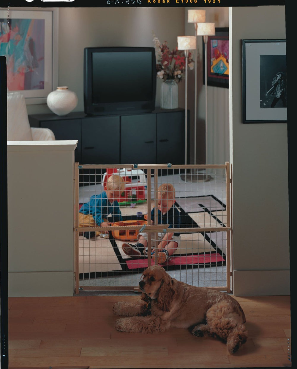 Extra Wide Wire Mesh Wooden Baby Gate: 29.5-50 Wide. Pressure Mounted Baby Gate for Doorway. (31 Tall, Sustainable Hardwood)