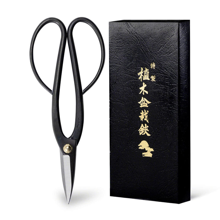 Ashinaga Bonsai Pruning Scissors 8inch (200mm) MADE IN JAPAN, Long Handle Bonsai Cutter in Carbon Steel, Rose Pruning Shears, Flower Scissors, Japanese Gardening Tools