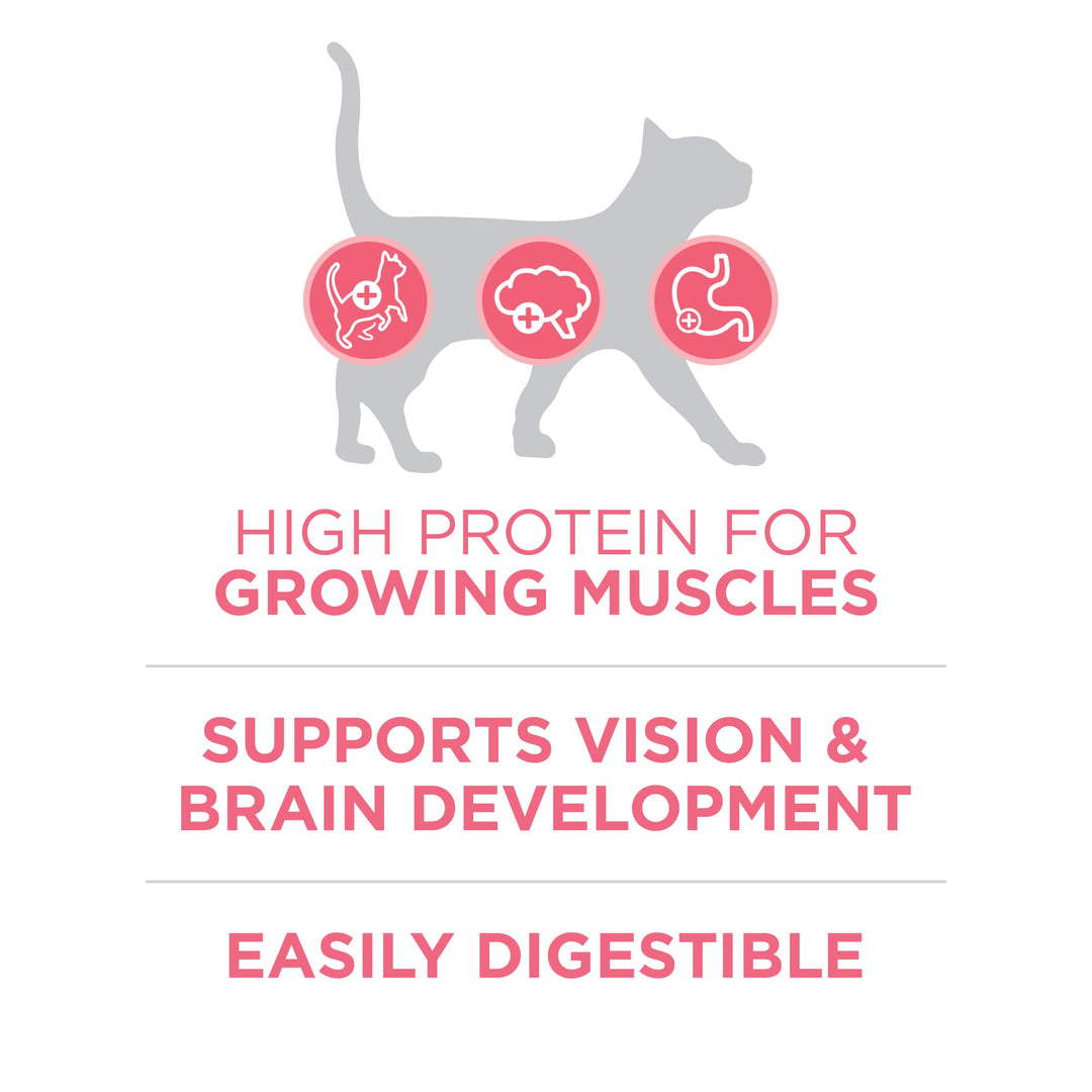 High Protein, Natural Dry Kitten Food, +Plus Healthy Kitten Formula - 7 lb. Bag