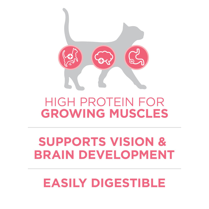 High Protein, Natural Dry Kitten Food, +Plus Healthy Kitten Formula - 7 lb. Bag